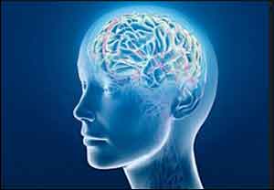 Revita starts multi-modality clinical intervention for brain dead patients