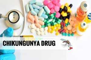 IIT Roorkee scientists identify drug to fight Chikungunya