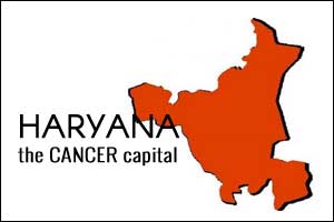 Haryana records 39 percent of cancer cases in India: Doctors