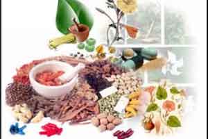 India to hold Dubais first AYUSH conference