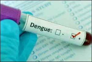 New Delhi: 9 dengue cases reported this year