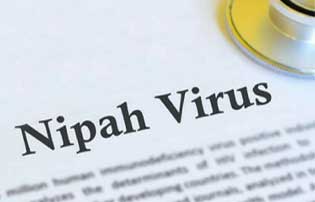 Central High-level Team: Nipah virus disease is not a major outbreak. It is only a local occurrence.