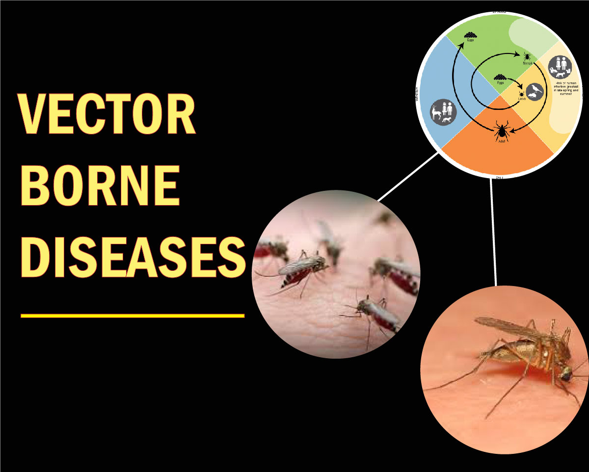Health ministry for separate registry of vector-borne disease cases in
