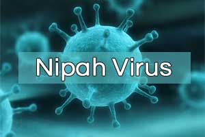 Nipah Virus Update: Health Department holds Emergency meet after suspected patient admitted at JIPMER