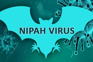 Nipah Virus resurfaces in Kerala