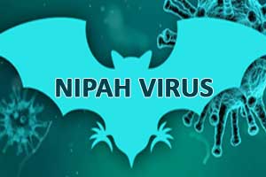 Nipah Virus result of tampering with nature: J.P. Nadda