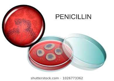 Shortage of important form of penicillin affecting 39 countries, including India: AMF