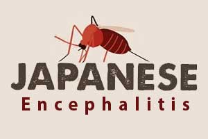 Japanese enchephalitis spread in Tripura district: CMO admitted