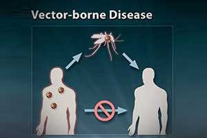 NCDC works phenomenal on Prevention, Control of Vector Borne Diseases: Dr Harsh Vardhan