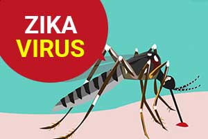 Centre sends ICMR team to Jaipur as Zika cases rise to 100