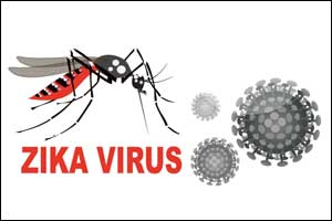 Six new Zika cases in Rajasthan; total 123