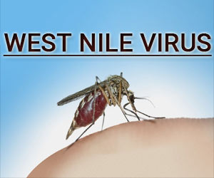 West Nile virus effects 7 year old in Kerala, Know about the Disease