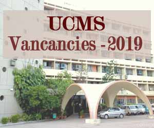 APPLY NOW: UCMS Delhi releases 91 vacancies for Assistant Professor Post, Details